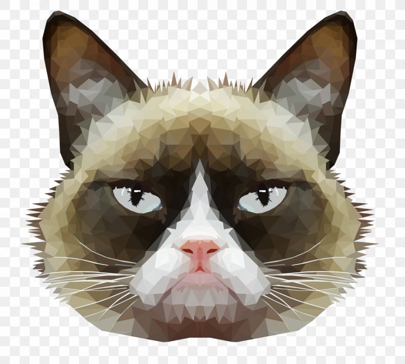 American Wirehair Grumpy Cat Whiskers Domestic Short-haired Cat Mouse, PNG, 1185x1064px, American Wirehair, Animal, Carnivora, Carnivoran, Cat Download Free