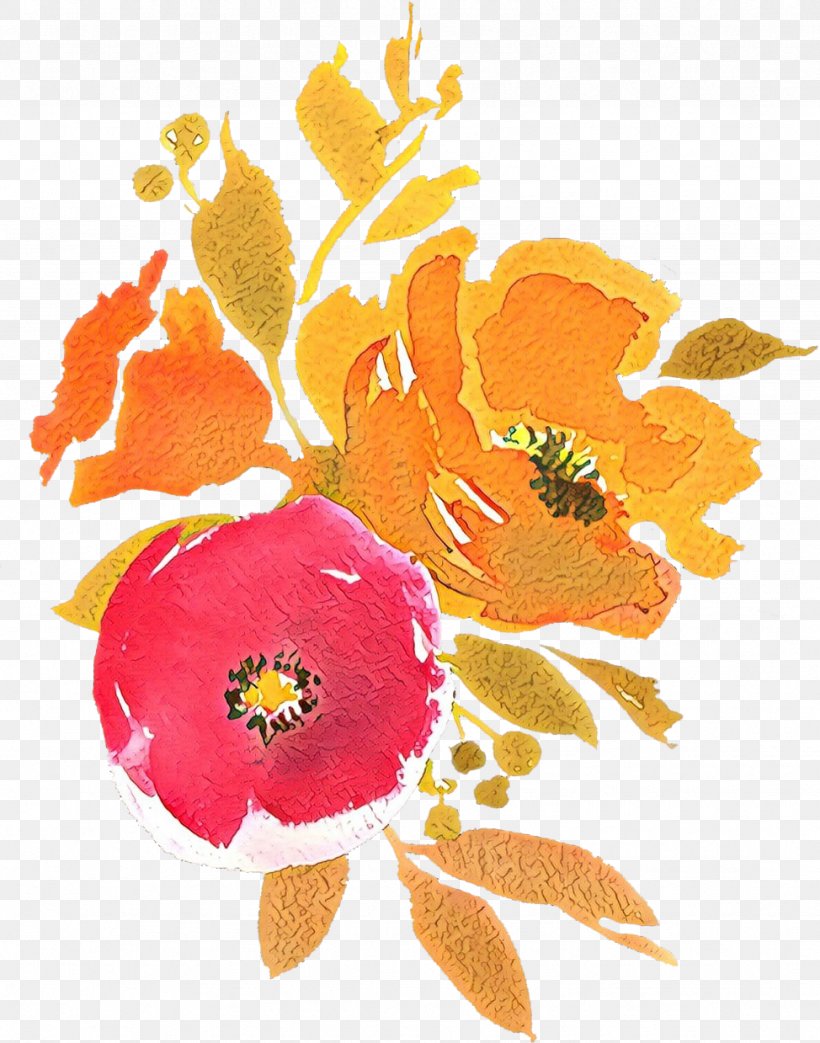 Orange, PNG, 974x1239px, Cartoon, Flower, Orange, Petal, Plant Download Free