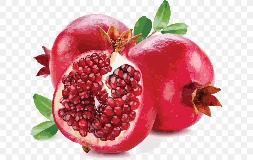 Pomegranate Juice Clip Art, PNG, 623x518px, Pomegranate Juice, Accessory Fruit, Berry, Cranberry, Diet Food Download Free
