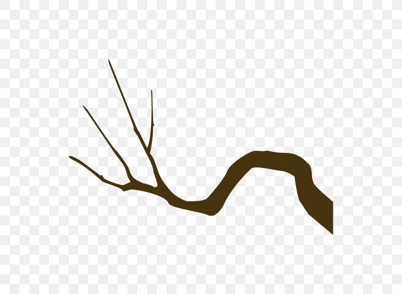 Twig Line Angle Clip Art Plant Stem, PNG, 600x600px, Twig, Antler, Branch, Finger, Hand Download Free