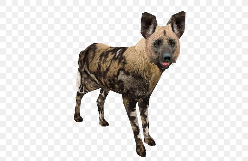 African Wild Dog Dhole Dog Breed Zoo Tycoon 2: Marine Mania, PNG, 494x532px, African Wild Dog, Breed, Carnivoran, Dhole, Dog Download Free