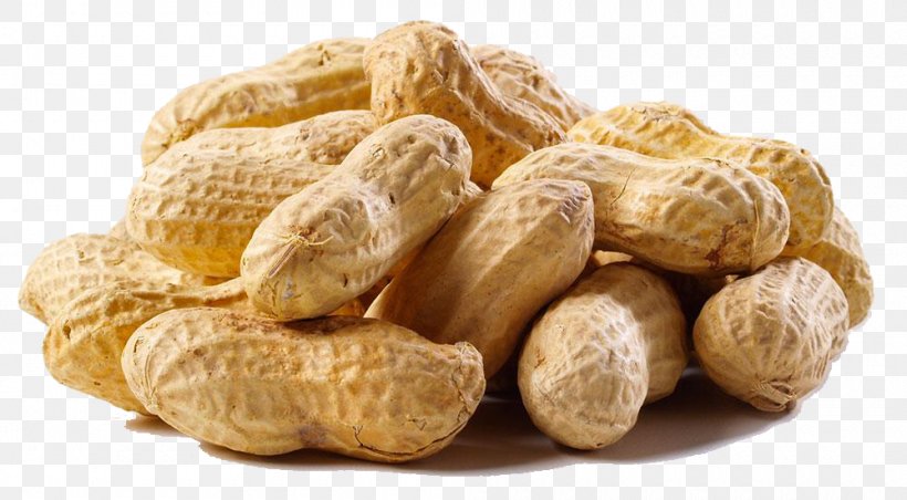 Georgia Peanut Allergy Alabama, PNG, 1000x552px, Georgia, Alabama, Allergy, Commodity, Crop Download Free