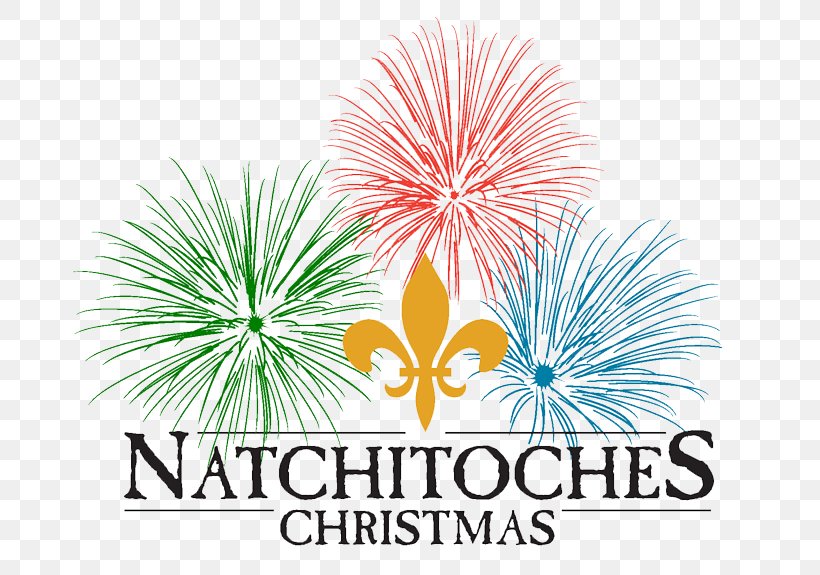 Natchitoches Christmas Festival Cane River Holiday Trail Of Lights, PNG, 732x575px, Watercolor, Cartoon, Flower, Frame, Heart Download Free