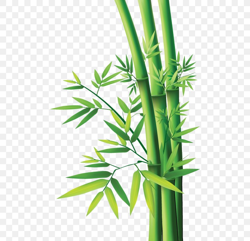 Tropical Woody Bamboos Bamboo Painting Bamboo Textile, PNG, 492x793px, Tropical Woody Bamboos, Bamboo, Bamboo Painting, Bamboo Textile, Grass Family Download Free