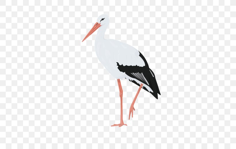 White Stork Water Bird Beak Woodpecker, PNG, 600x520px, White Stork, American Goldfinch, Animal, Beak, Bird Download Free