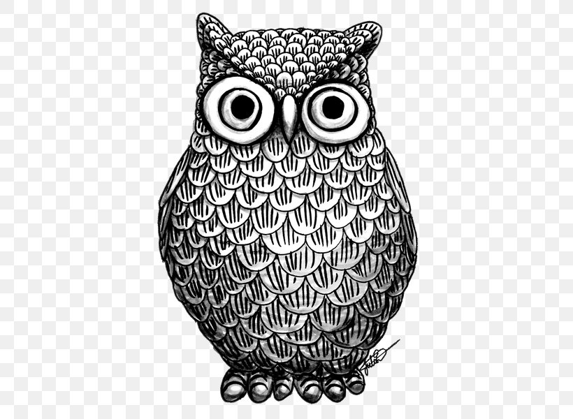 Black-and-white Owl Drawing Black And White Bird, PNG, 438x600px, Owl, Art, Bird, Bird Of Prey, Black And White Download Free