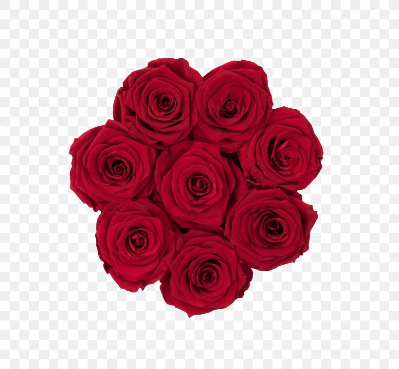 Garden Roses Cabbage Rose Cut Flowers Floribunda, PNG, 1294x1200px, Garden Roses, Beige, Burgundy, Cabbage Rose, Color Download Free