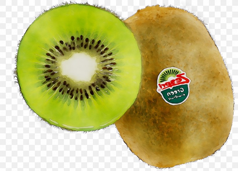 Kiwifruit, PNG, 1473x1061px, Kiwifruit, Flightless Bird, Food, Fruit, Hardy Kiwi Download Free