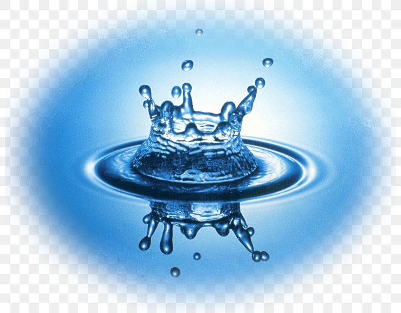 Water Storage Quitman City Pool Food Drinking Water, PNG, 800x640px, Water, Drink, Drinking, Drinking Water, Drop Download Free