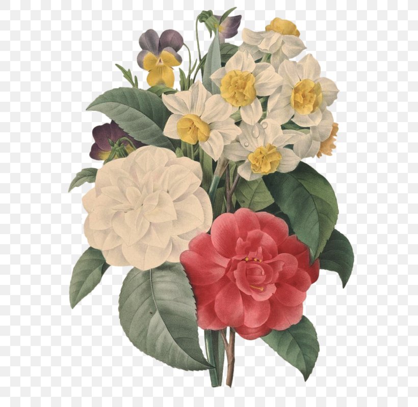 Flowers Choix Des Plus Belles Fleurs Illustration Art Printmaking, PNG, 613x800px, Flowers, Annual Plant, Art, Artist, Botany Download Free