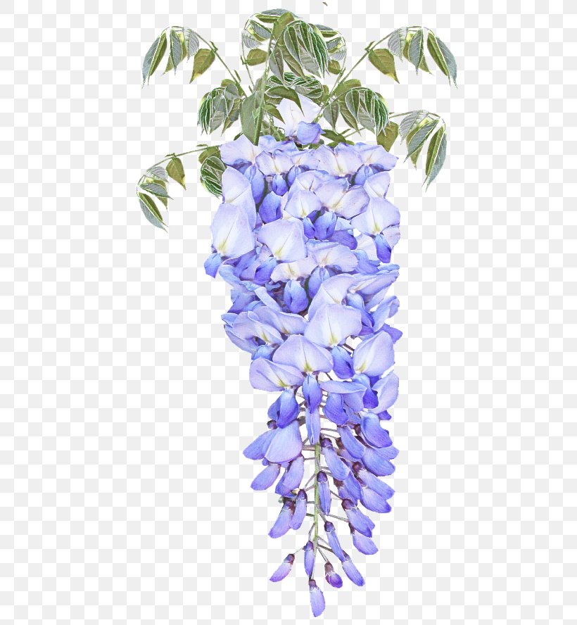 Lavender, PNG, 500x888px, Flower, Blue, Cut Flowers, Flowering Plant, Lavender Download Free