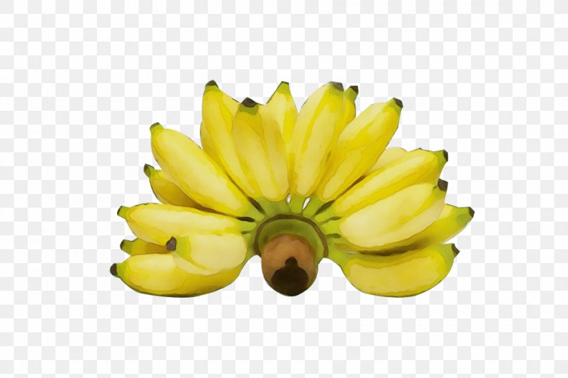 Yellow Banana Family Banana Plant Fruit, PNG, 960x640px, Watercolor, Banana, Banana Family, Flower, Fruit Download Free