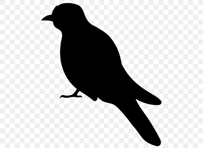 Bird Silhouette Clip Art, PNG, 504x600px, Bird, Beak, Black And White, Crow, Emberizidae Download Free