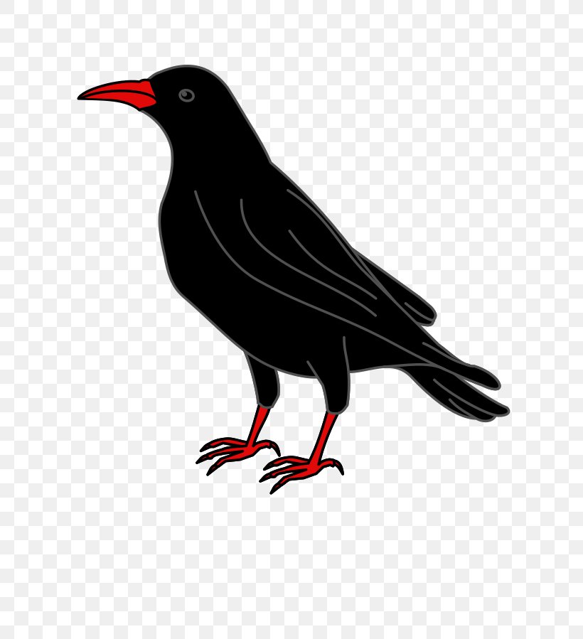 Challex American Crow Raven Coat Of Arms Wikipedia, PNG, 636x899px, American Crow, Ain, Beak, Bird, Blackbird Download Free