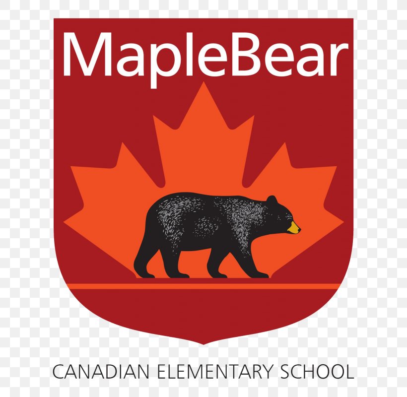 Maple Bear Canadian School Education Pre-school Kindergarten, PNG, 668x800px, School, Area, Asilo Nido, Canadian, Child Download Free