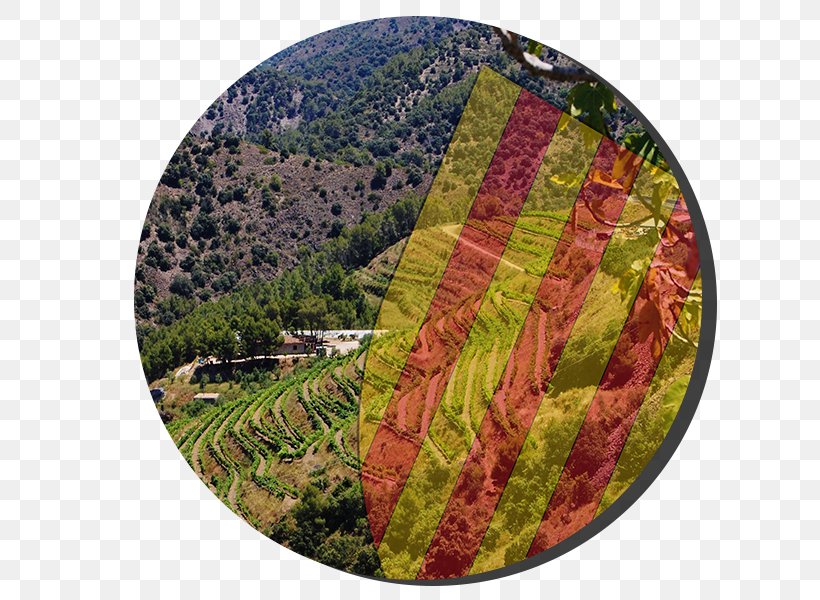 Priorat DOQ Penedès DO Wine Denominación De Origen, PNG, 652x600px, Priorat Doq, Grass, Hill Station, Information, Leaf Download Free