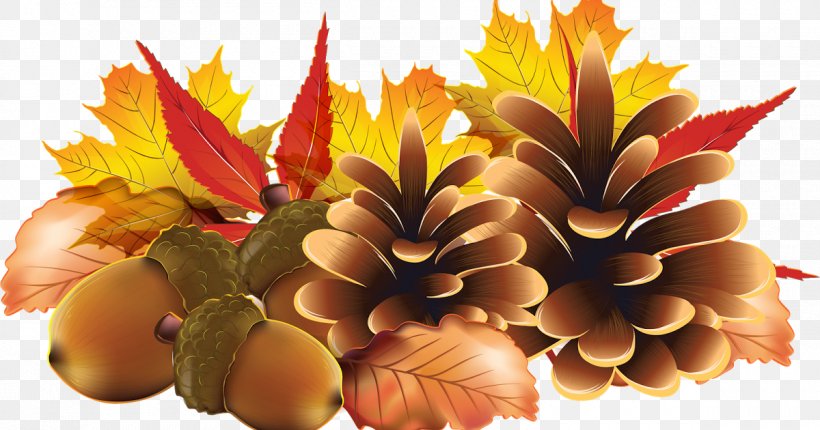 Clip Art Image Graphic Design Desktop Wallpaper, PNG, 1200x630px, Art, Autumn, Centerblog, Flower, Fruit Download Free