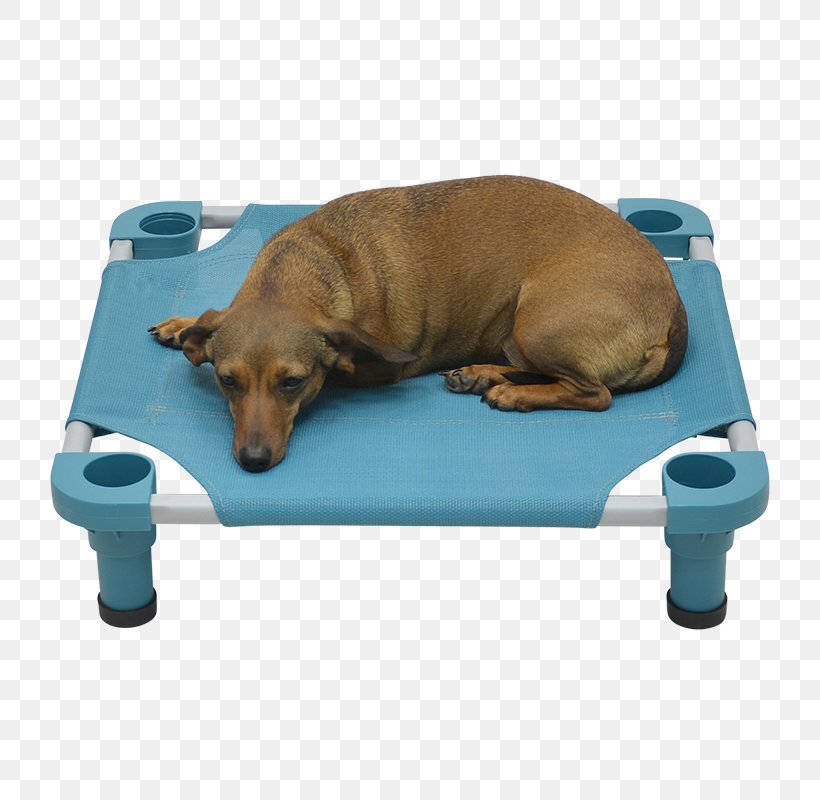 Dog Breed Cat Camp Beds Cots, PNG, 800x800px, Dog Breed, Bed, Breed, Camp Beds, Camping Download Free