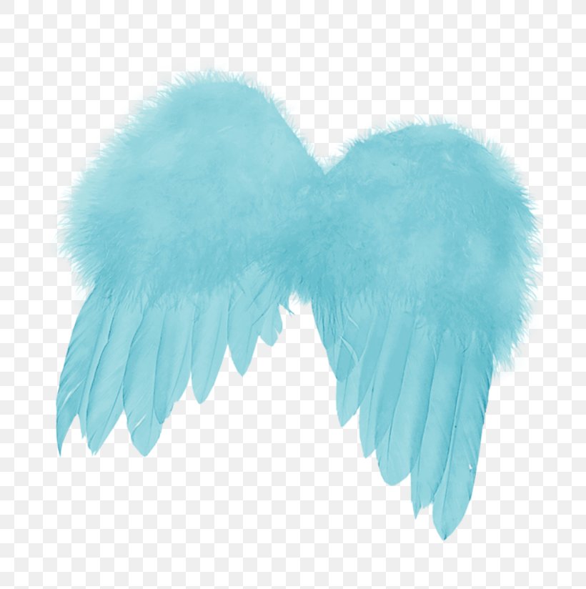 Feather Clip Art Image Wing, PNG, 800x824px, Feather, Aile, Angel, Angel Wing, Bird Download Free
