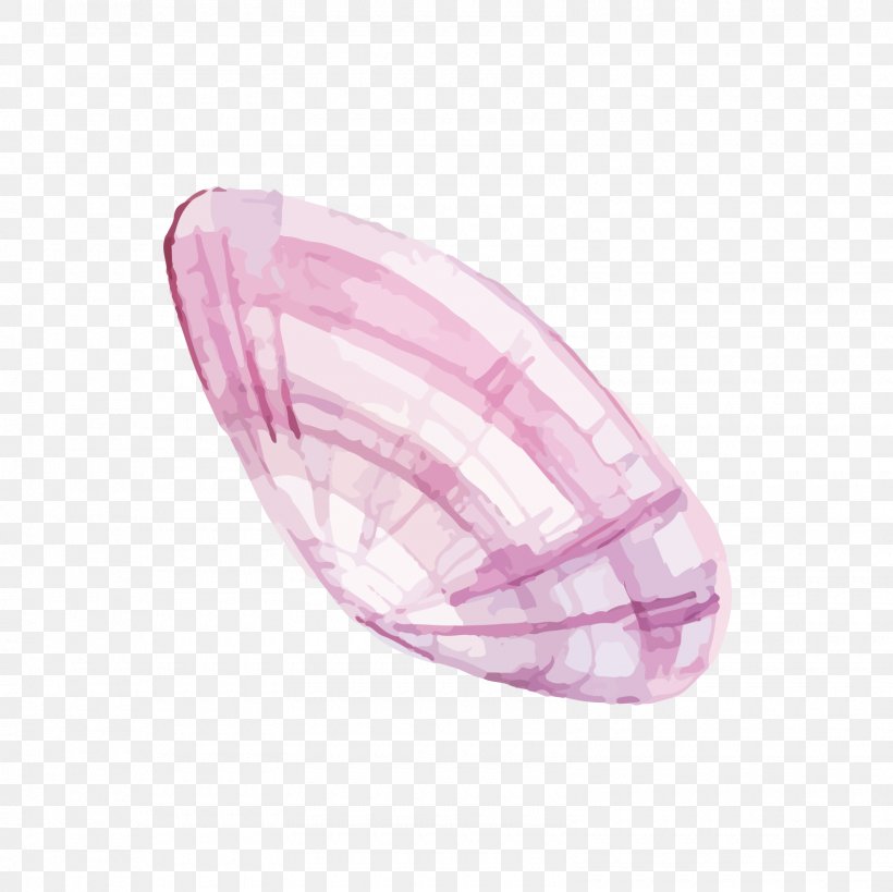 Oyster, PNG, 1600x1600px, Oyster, Designer, Gratis, Pink, Seafood Download Free