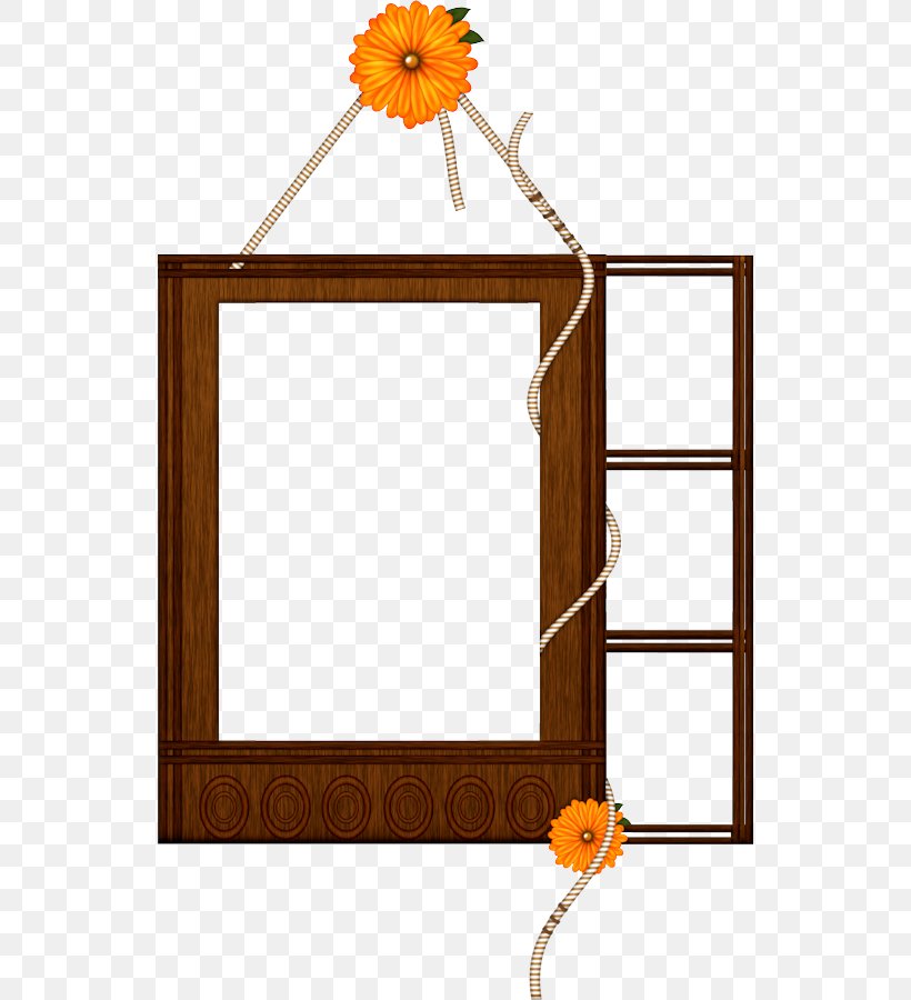 Picture Frames Photography Paper, PNG, 536x900px, Picture Frames, Film Frame, Flower, Molding, Painting Download Free