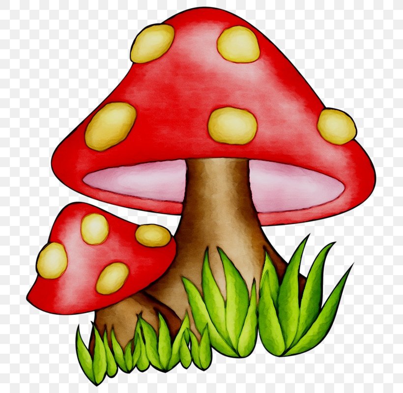 Clip Art Illustration Vegetable Fruit, PNG, 744x800px, Vegetable, Cartoon, Fruit, Mushroom Download Free