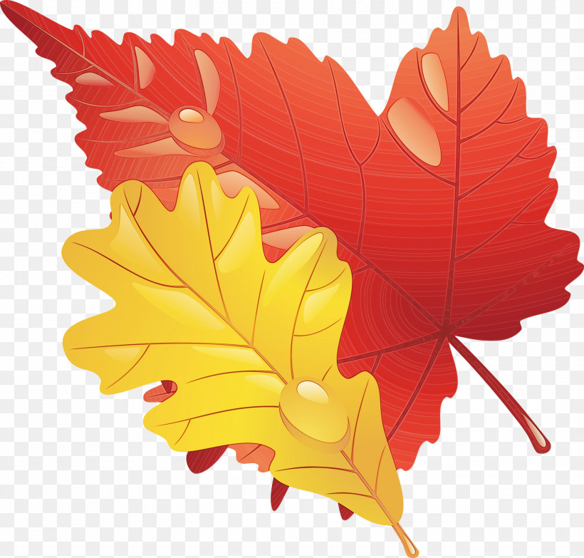 Maple Leaf, PNG, 3000x2865px, Watercolor, Autumn, Black Maple, Deciduous, Flower Download Free