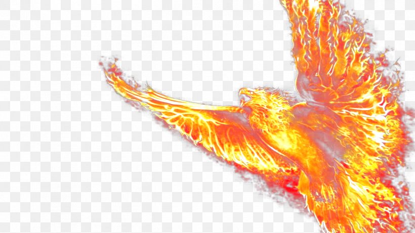 Phoenix Wallpaper, PNG, 1366x768px, Fire, Computer Software, Dots Per Inch,  Flame, Image Resolution Download Free