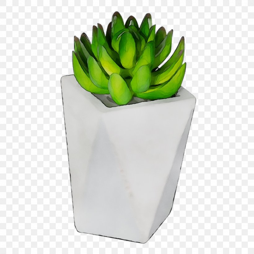 Plants, PNG, 1107x1107px, Plants, Banana, Banana Family, Ceramic, Echeveria Download Free