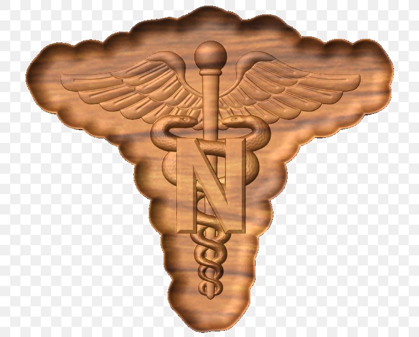 United States Army Nurse Corps Military Nurse Nursing, PNG, 742x660px, United States Army Nurse Corps, Army, Artifact, Code, Copyright Download Free