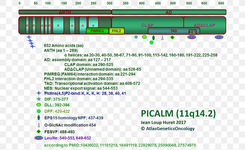 Web Page Green Line Computer Program Font, PNG, 709x502px, Web Page, Area, Computer, Computer Program, Diagram Download Free