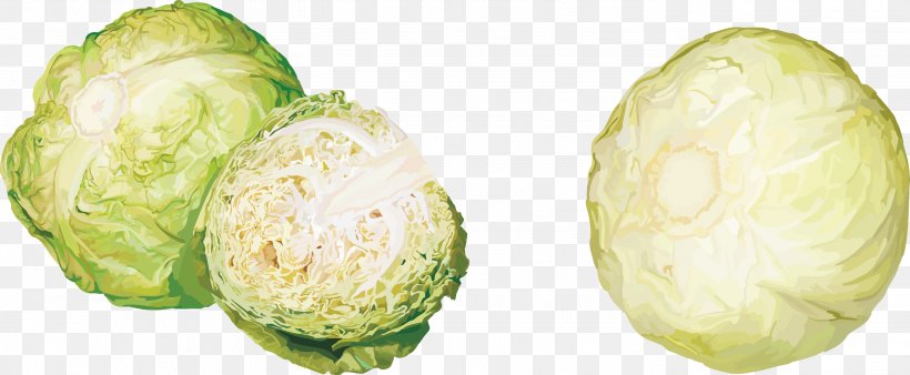 Cabbage Vegetable Kohlrabi Fruit Clip Art, PNG, 2833x1169px, Cabbage, Auglis, Bildtafel Obst Und Gemxfcse, Brassica Oleracea, Brussels Sprout Download Free