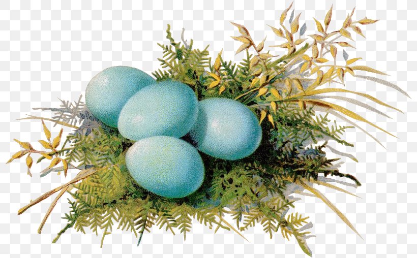 Egg Casserole Shirred Eggs Recipe Bisquick, PNG, 800x508px, Egg Casserole, Betty Crocker, Bird Nest, Bisquick, Casserole Download Free