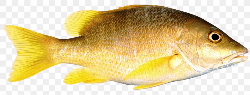 Fish As Food, PNG, 2000x766px, Fish, Animal Figure, Digital Image, Fauna, Goldfish Download Free