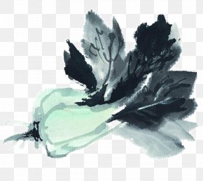 Ink Cabbage - Ink Wash Painting Chinese Cabbage Napa Cabbage Vegetable PNG