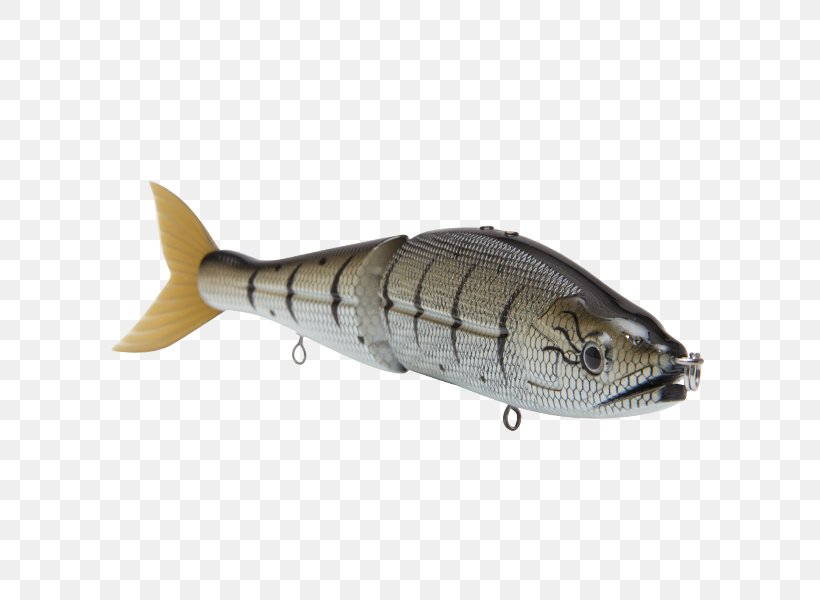 Mackerel Baby Bass Oily Fish Fishing Baits & Lures Venom, PNG, 600x600px, Mackerel, Baby Bass, Bass Guitar, Bony Fish, Fauna Download Free