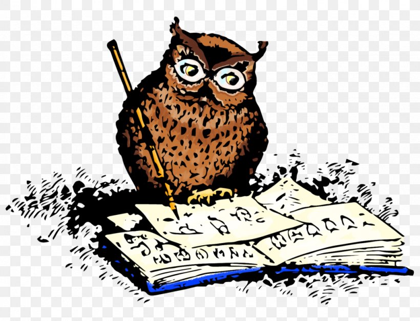 Owl Clip Art Drawing Illustration, PNG, 1024x784px, Owl, Beak, Bird, Bird Of Prey, Brand Download Free