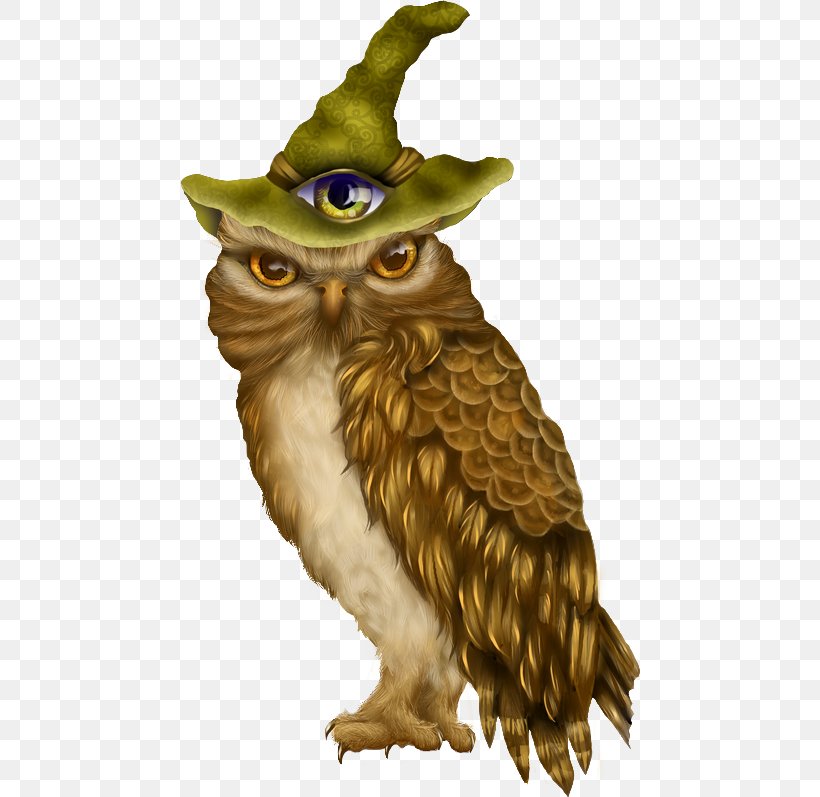 Tawny Owl Bird Barn Owl Clip Art, PNG, 460x797px, Owl, Animal, Barn Owl, Beak, Bird Download Free