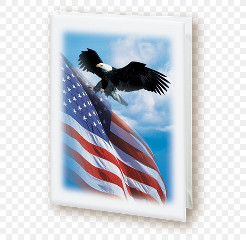 Book Patriotism Find A Grave Memorial Color Image, PNG, 800x800px, Book, Airplane, Aviation Accidents And Incidents, Beak, Bird Download Free