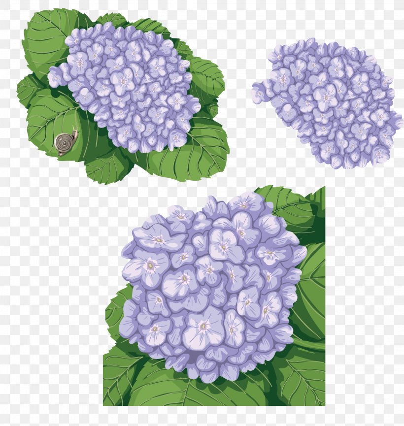 French Hydrangea Flower Clip Art, PNG, 2061x2176px, French Hydrangea, Annual Plant, Cornales, Dahlia, Floral Design Download Free