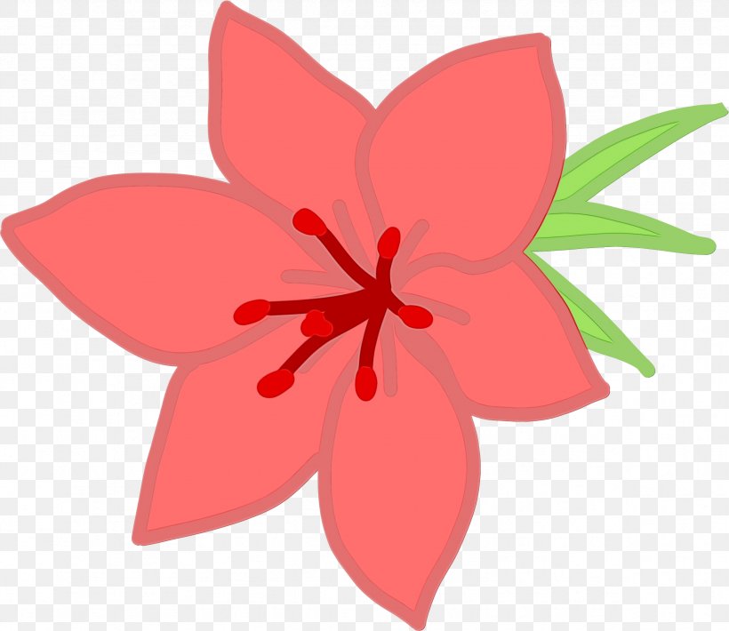 Lily Flower Cartoon, PNG, 2357x2041px, Watercolor, Flower, Lily, Paint, Pedicel Download Free