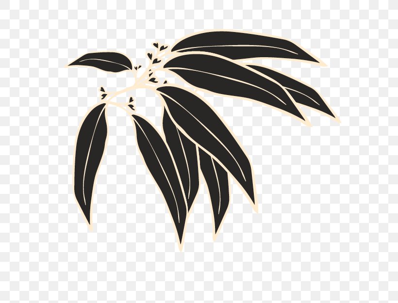 Plant, PNG, 625x625px, Plant, Wing Download Free