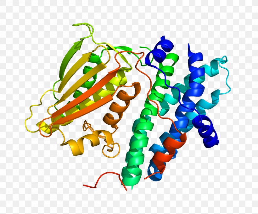 Pyruvate Dehydrogenase Kinase Pyruvate Dehydrogenase Lipoamide Kinase Isozyme 1 Phosphoinositide-dependent Kinase-1, PNG, 1200x1000px, Pyruvate Dehydrogenase Kinase, Amino Acid, Area, Body Jewelry, Dehydrogenase Download Free