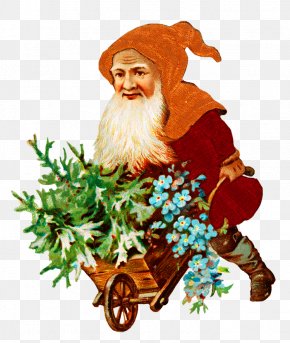 Santa Claus - Santa Claus Christmas Tree The Elf On The Shelf Christmas Elf Christmas Card PNG