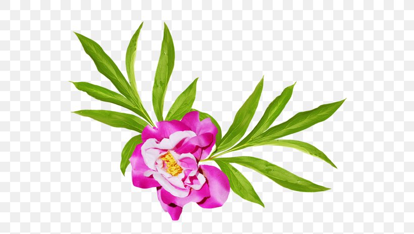 Petal Floral Design Leaf Plant Stem, PNG, 600x463px, Petal, Floral Design, Flower, Flowering Plant, Herbaceous Plant Download Free