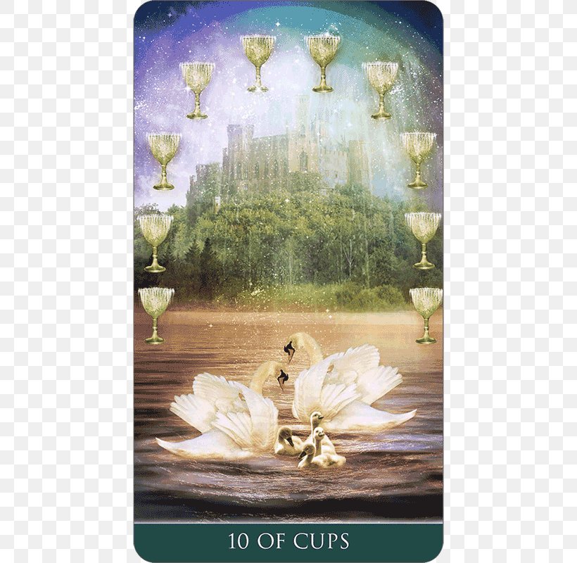 Tarot Ten Of Cups Suit Of Cups Queen Of Cups Playing Card, PNG, 600x800px, Tarot, Chalice, Flora, Flower, Fool Download Free