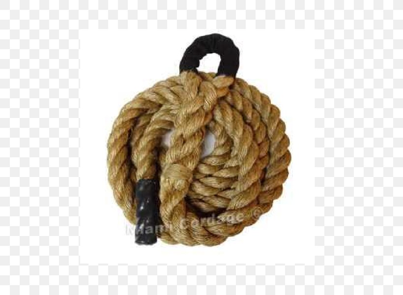 Rope Climbing Manila Rope Rope Today, PNG, 600x600px, Rope, Carabiner, Climbing, Crossfit, Exercise Download Free