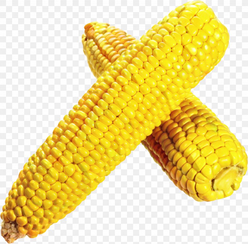 Vegetable Cartoon, PNG, 2787x2746px, Corn On The Cob, Band, Blog, Commodity, Corn Download Free