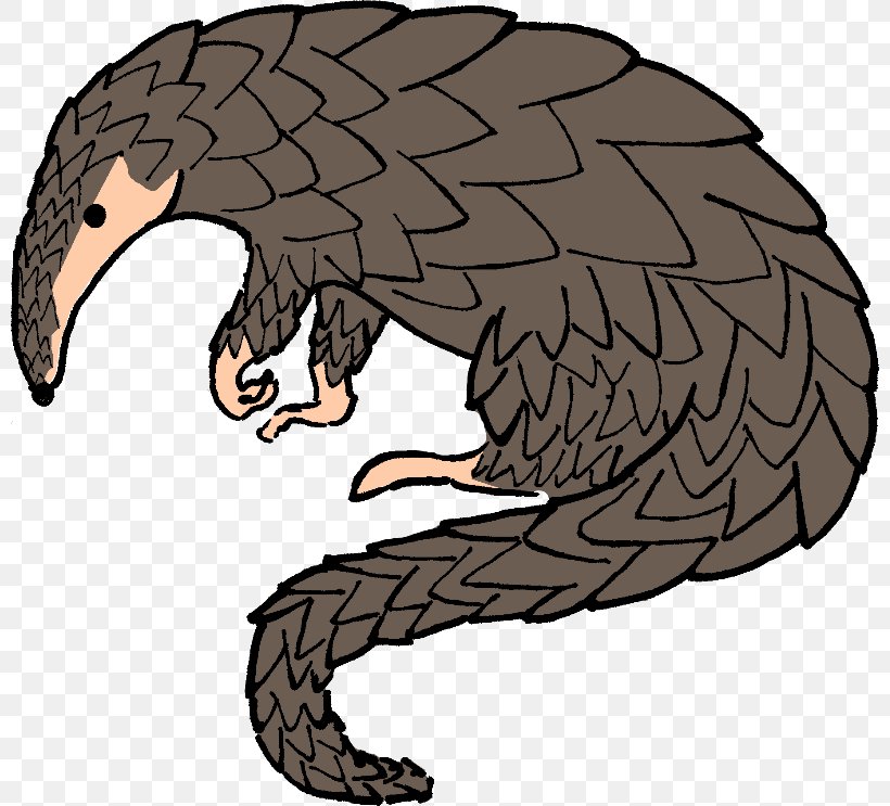 Anteater Armadillo Pangolins Clip Art, PNG, 800x743px, Anteater, Armadillo, Beak, Bird, Bird Of Prey Download Free