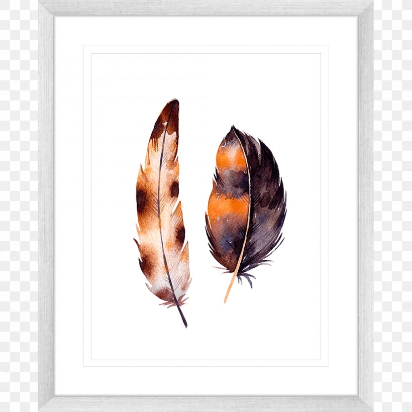 Feather White Color Picture Frames, PNG, 1000x1000px, Feather, Butterfly, Color, Insect, Invertebrate Download Free